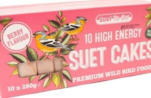 Suet Blocks - Berry Flavour