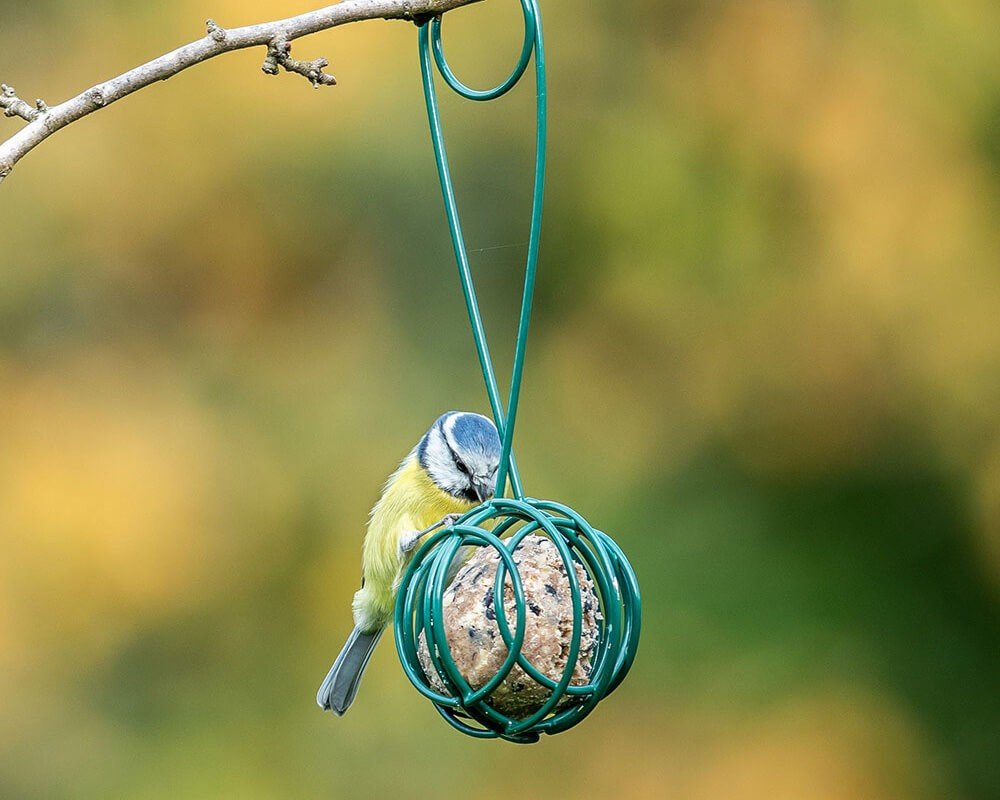Lima Suet Ball Feeder