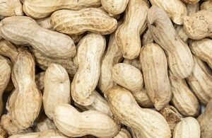 Peanuts in Shells (Monkey Nuts)