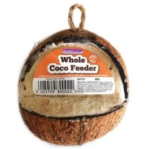 Whole Filled Suet Coconut