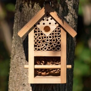 Nooks & Crannies Insect House