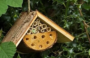 Nooks & Crannies Insect Loft