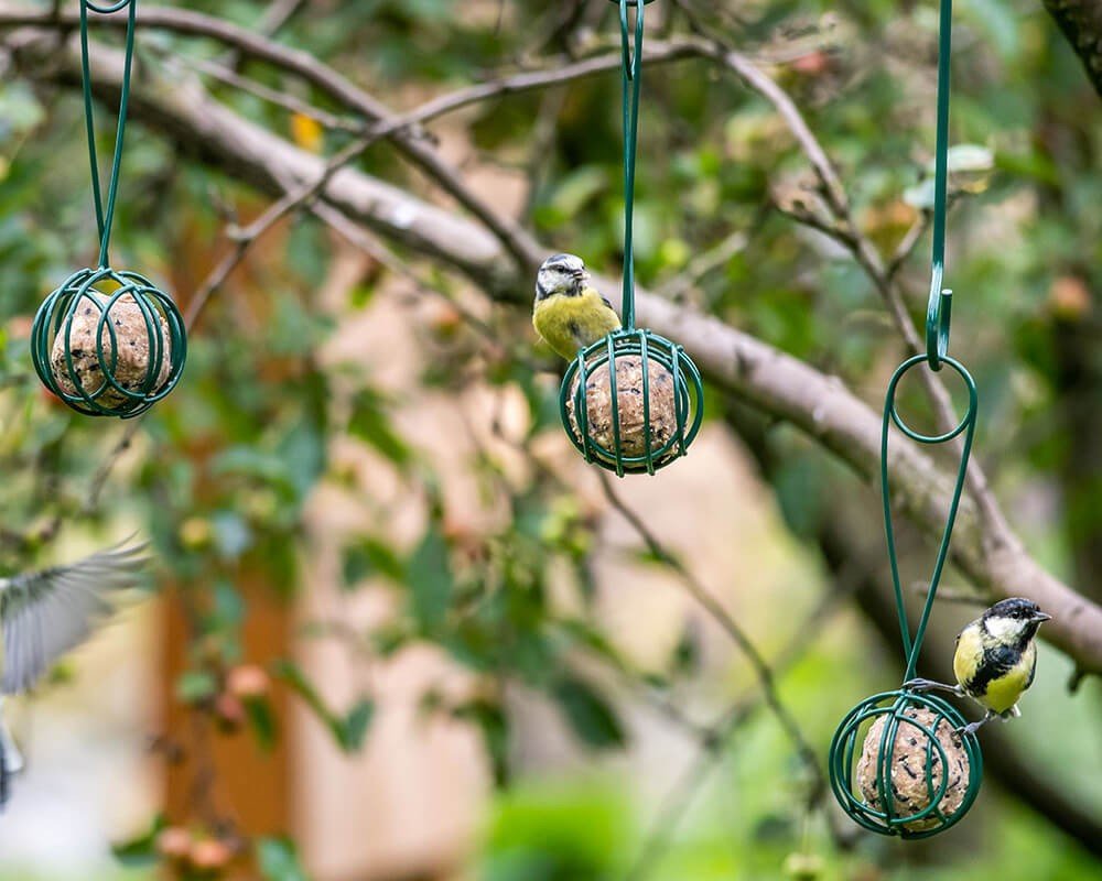 Lima Suet Ball Feeder - Image 4