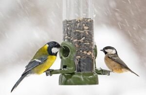 Ring-Pull Click Metal Seed Feeder