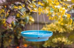 Hanging Ceramic Water Dish