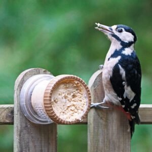 Flutter Butter Wall Feeder